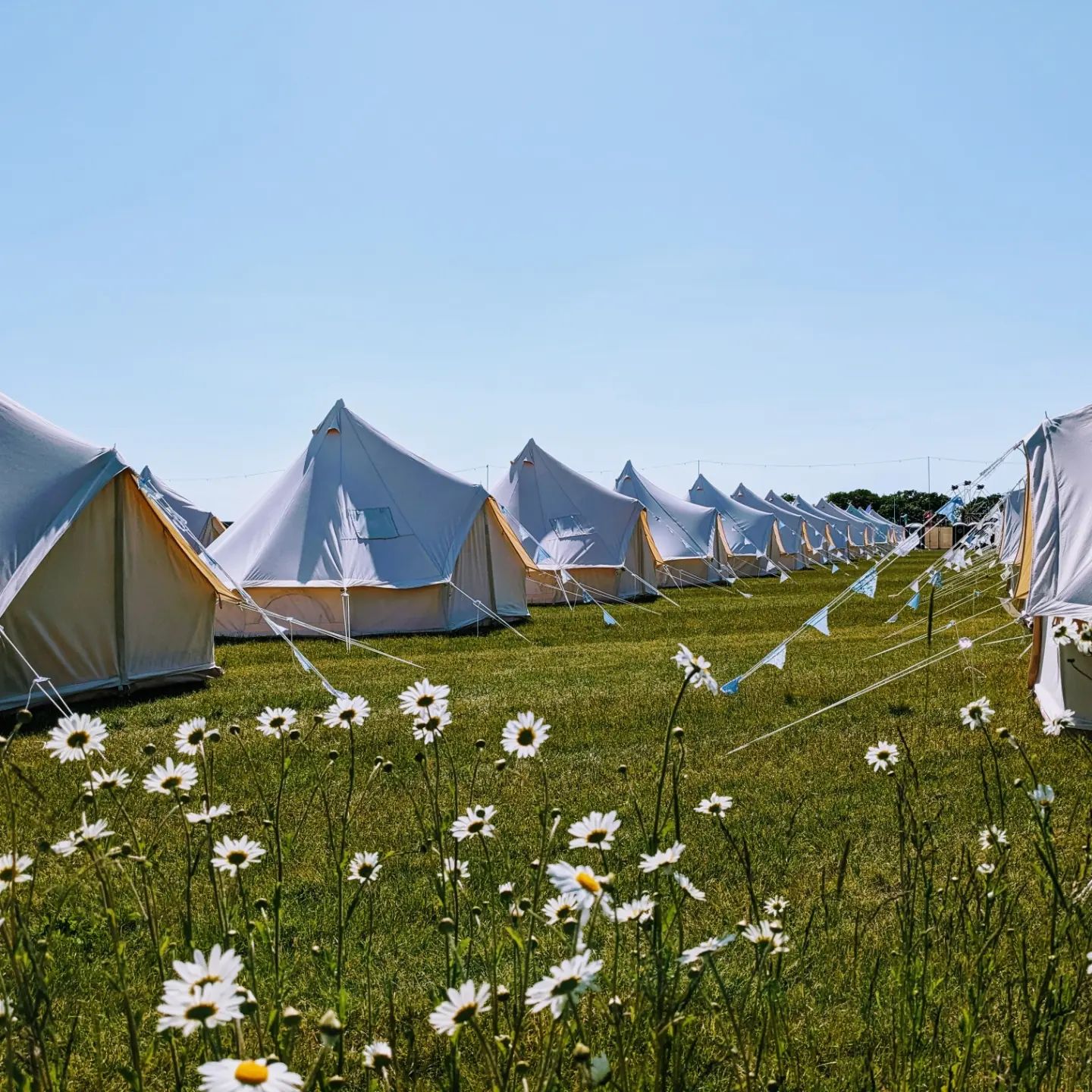 352373876_1310090236575943_8499661546558530372_n